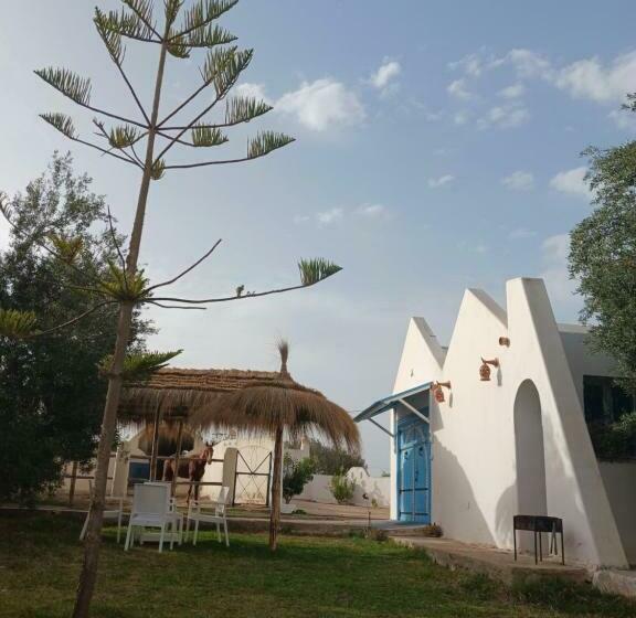 استودیو استاندارد با چشم‌انداز باغ, Nouveau Bungalow Djerba
