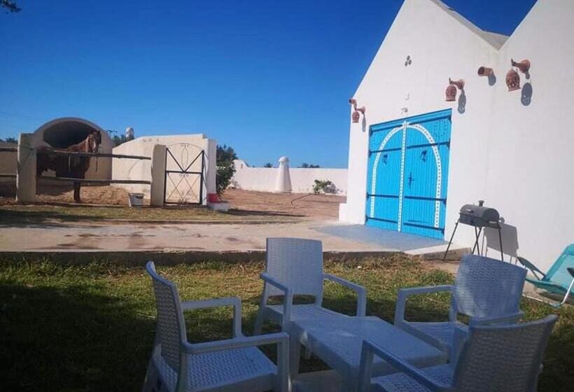 استودیو استاندارد با چشم‌انداز باغ, Nouveau Bungalow Djerba