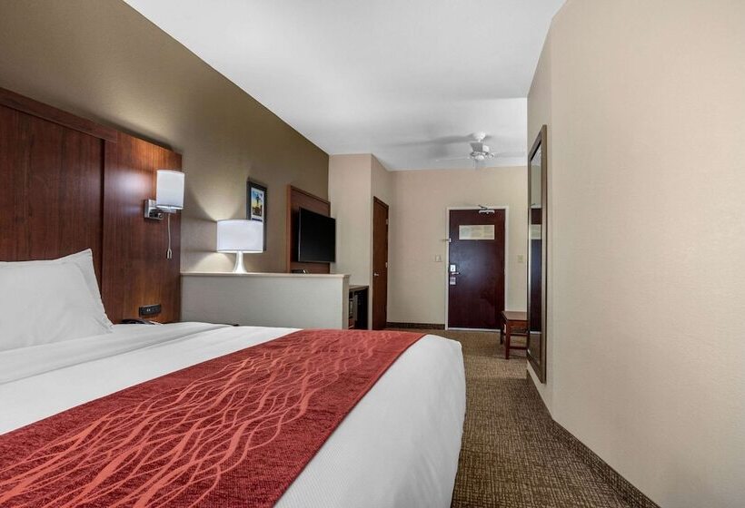 Suite Cama King, Comfort Inn & Suites Montgomery East Carmichael Rd