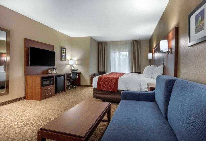 장애인을 위한 스위트, Comfort Inn & Suites Montgomery East Carmichael Rd