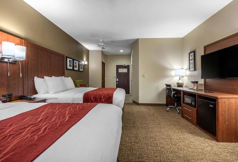 Suite Adapted for people with reduced mobility, Comfort Inn & Suites Montgomery East Carmichael Rd