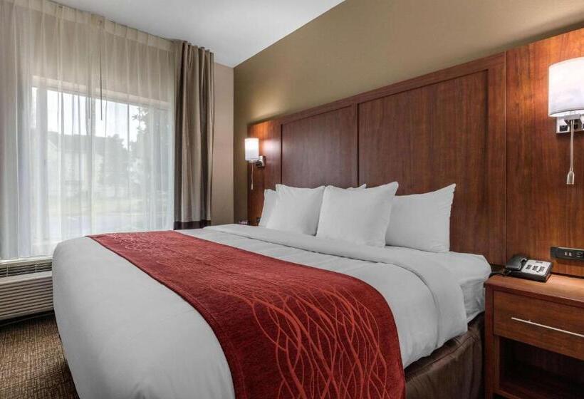 سوئیت با تخت بزرگ, Comfort Inn & Suites Montgomery East Carmichael Rd