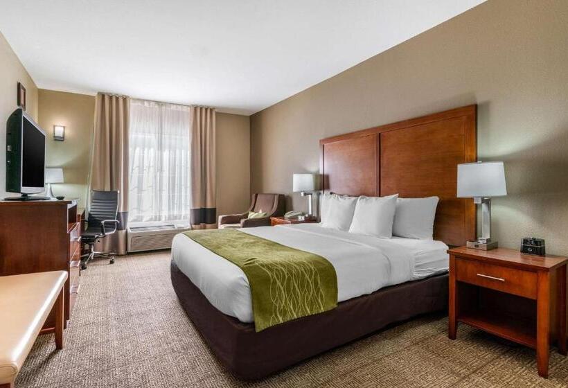 غرفة قياسية سرير كينج, Comfort Inn & Suites Sacramento – University Area