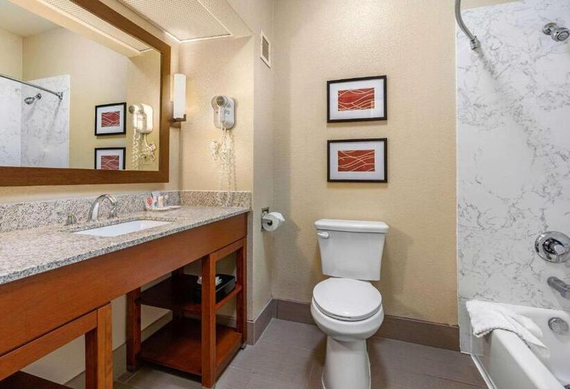 غرفة قياسية سرير كينج, Comfort Inn & Suites Sacramento – University Area