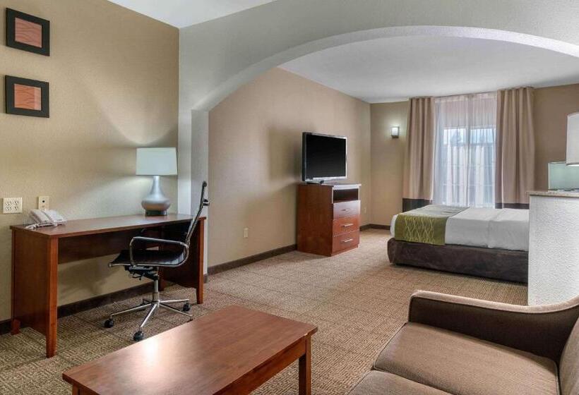 Suite Kingsize Bett, Comfort Inn & Suites Sacramento – University Area