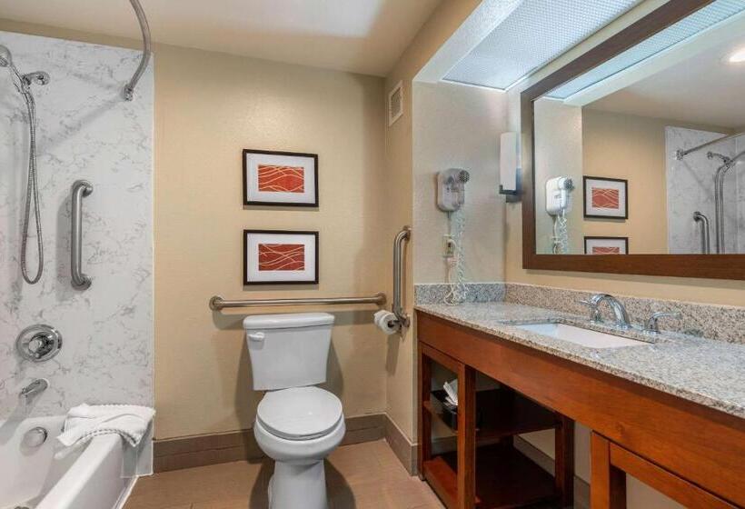 غرفة قياسية سرير كينج لذوى الإحتياجات الخاصة, Comfort Inn & Suites Sacramento – University Area