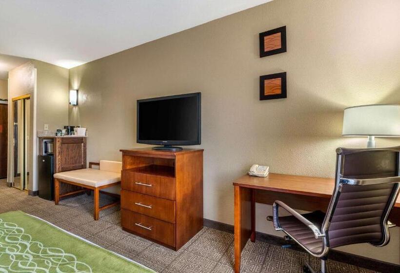 غرفة قياسية سرير كينج لذوى الإحتياجات الخاصة, Comfort Inn & Suites Sacramento – University Area