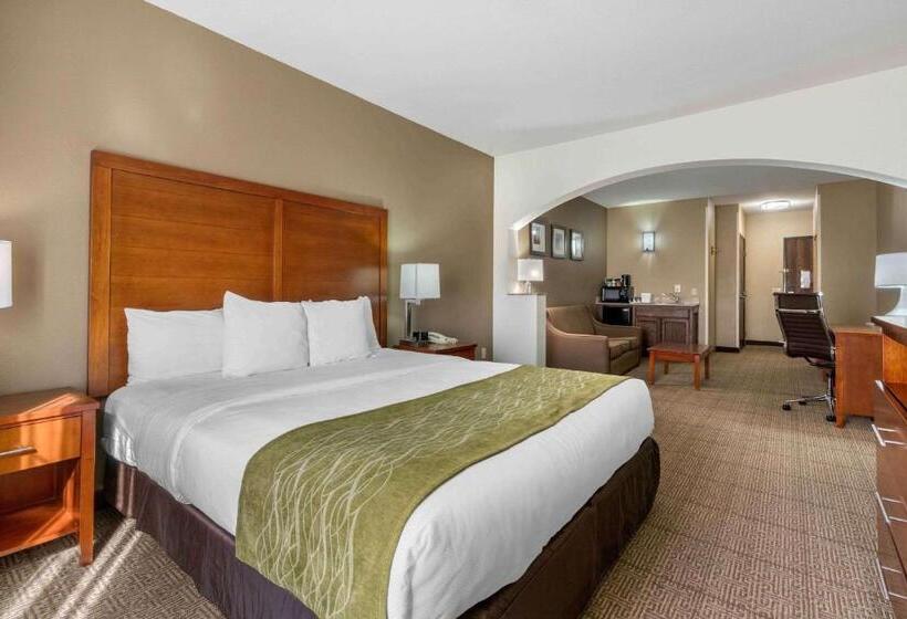 Suite Adapted for people with reduced mobility, Comfort Inn & Suites Sacramento – University Area