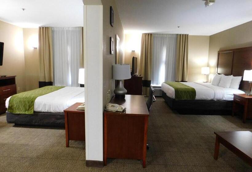 جناح سرير كينج, Comfort Inn & Suites Sacramento – University Area