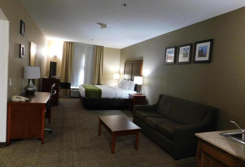 سوئیت با تخت بزرگ, Comfort Inn & Suites Sacramento   University Area