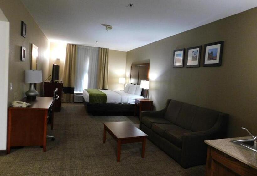 Suite Kingsize Bett, Comfort Inn & Suites Sacramento – University Area