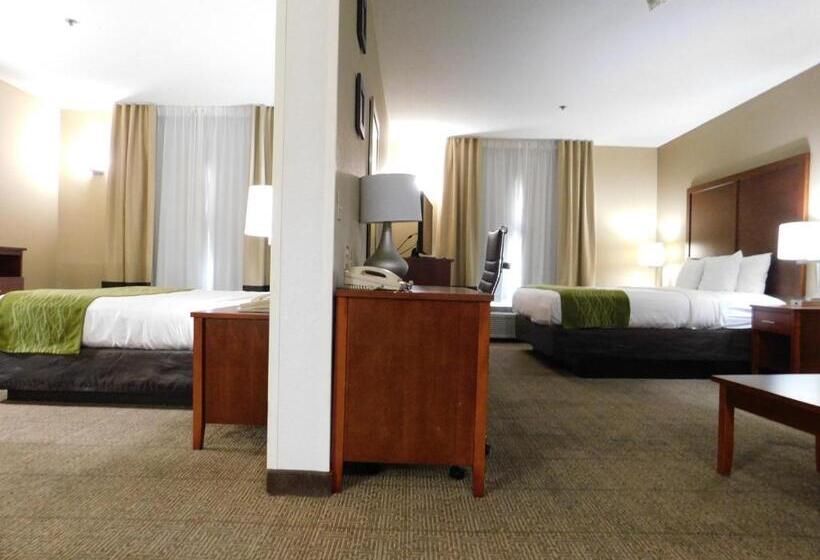 سوئیت با تخت بزرگ, Comfort Inn & Suites Sacramento   University Area