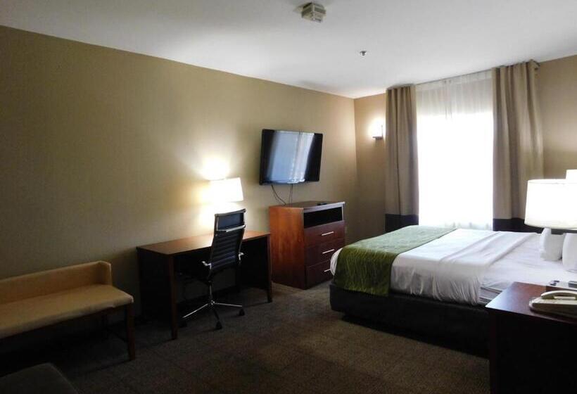 جناح سرير كينج, Comfort Inn & Suites Sacramento – University Area