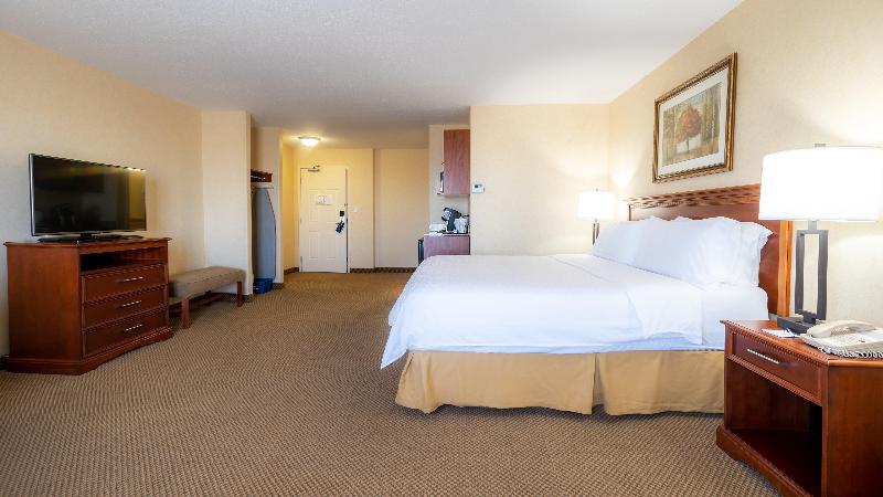 اتاق استاندارد با تخت بزرگ, Holiday Inn Express  & Suites  Edmonton International Airport