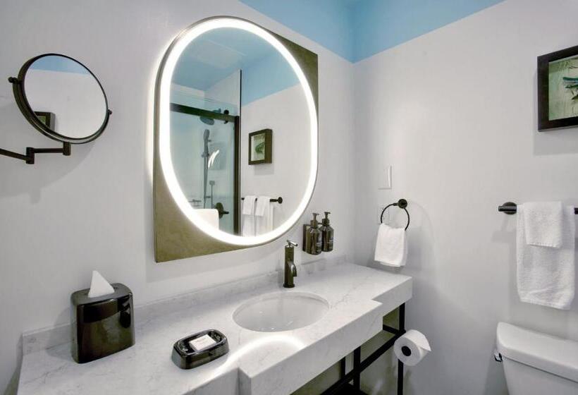 סוויטה מותאמת לאדם עם מוגבלויות, Indigo New Orleans French Quarter By Ihg