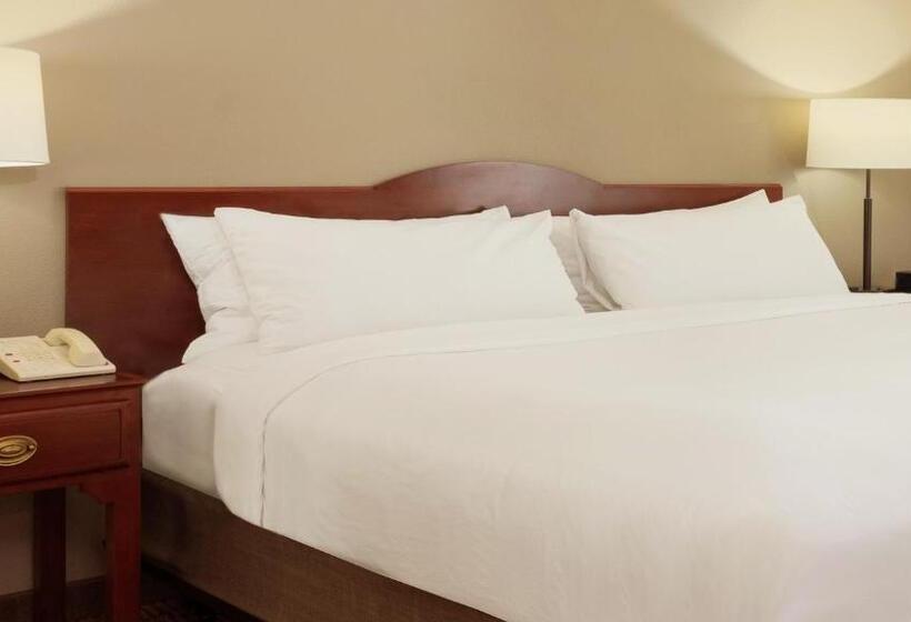 سوییت اجرایی, Larkspur Landing Extended Stay Suites Milpitas