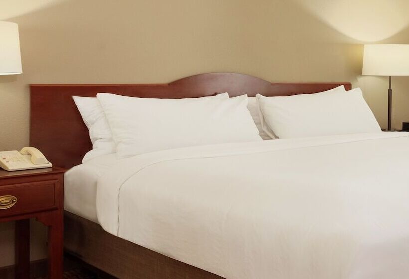 استودیوی استاندارد, Larkspur Landing Extended Stay Suites Milpitas
