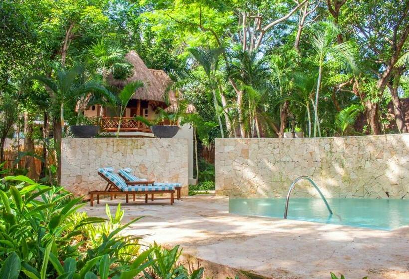 اتاق استاندارد, Mahekal Beach Front Resort & Spa