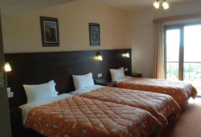 Standard Quadruple Occupancy Room with Pool View, Orfeas