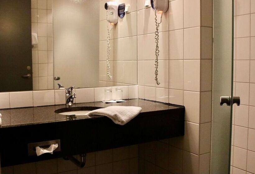 اتاق استاندارد یک نفره, Radisson Blu Hotel I Papirfabrikken, Silkeborg
