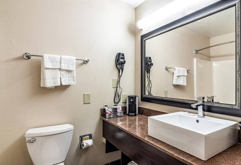 اتاق سوپریور, Red Roof Plus+ & Suites Atlanta Airport South