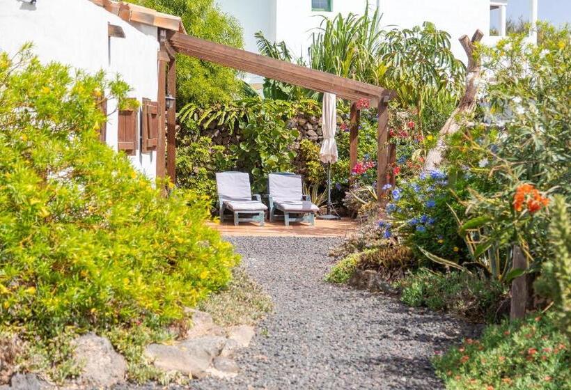 استودیو استاندارد با تراس, Surfescape Fuerteventura
