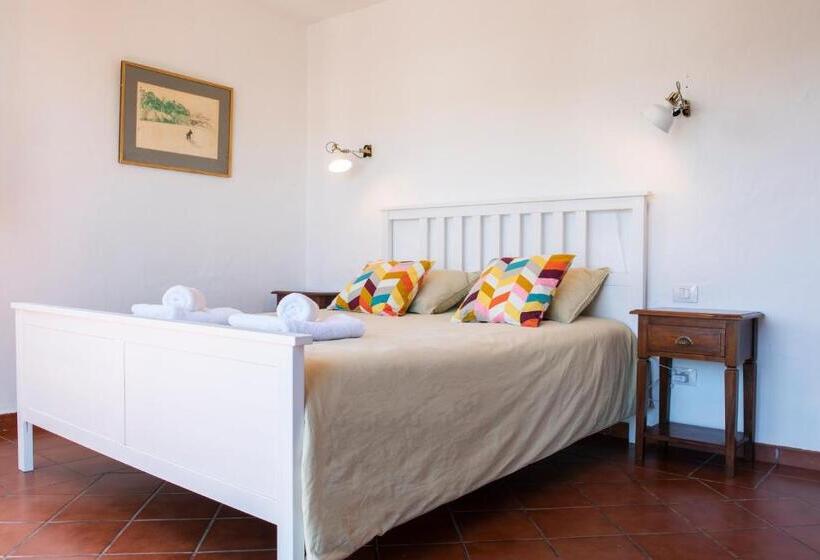 اتاق استاندارد, Surfescape Fuerteventura