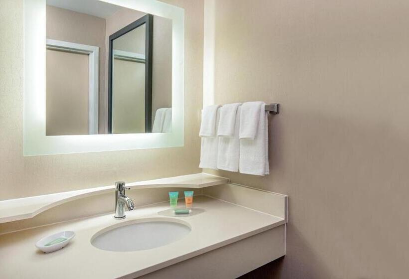 Basic Studio, Springhill Suites By Marriott Norfolk Virginia Beach