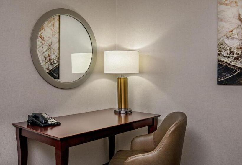 Basic Studio, Springhill Suites By Marriott Norfolk Virginia Beach