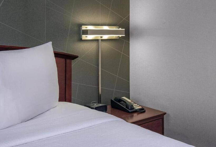 استودیو ساده, Springhill Suites By Marriott Norfolk Virginia Beach