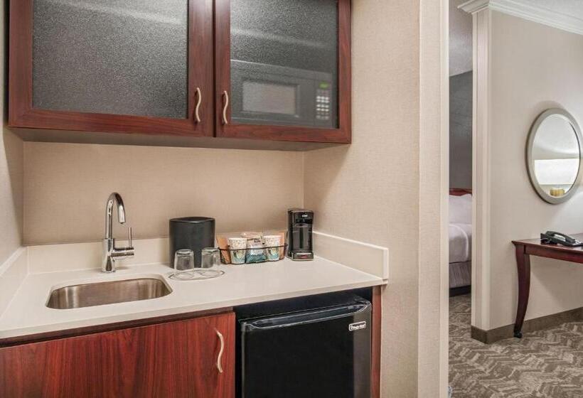 Basic Studio, Springhill Suites By Marriott Norfolk Virginia Beach