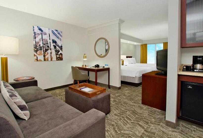 Basic Studio, Springhill Suites By Marriott Norfolk Virginia Beach