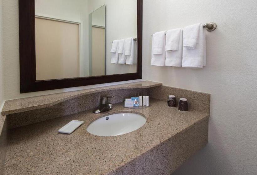 سوئیت با تخت بزرگ, Springhill Suites By Marriott Greensboro