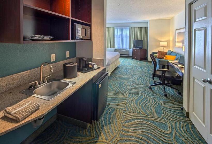 سوئیت با تخت بزرگ, Springhill Suites By Marriott Greensboro