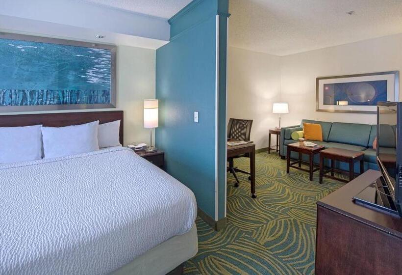سوئیت با تخت بزرگ, Springhill Suites By Marriott Greensboro