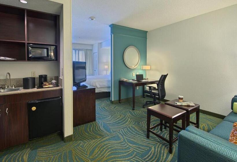 سوئیت با تخت بزرگ, Springhill Suites By Marriott Greensboro
