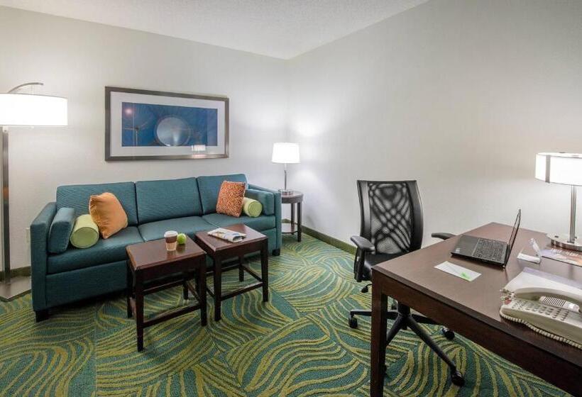 سوئیت با تخت بزرگ, Springhill Suites By Marriott Greensboro