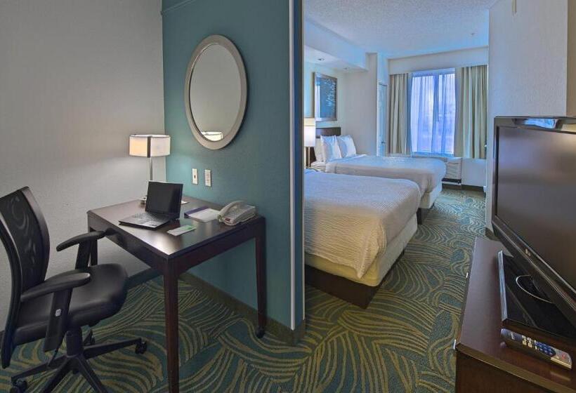 سوییت, Springhill Suites By Marriott Greensboro