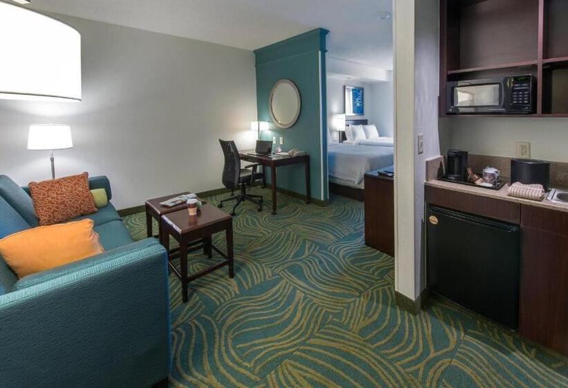 سوییت, Springhill Suites By Marriott Greensboro