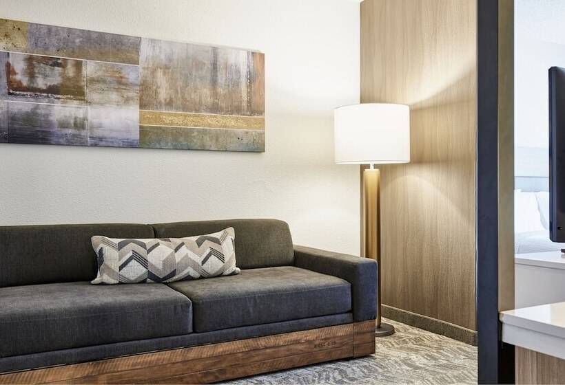 استودیوی استاندارد, Springhill Suites Phoenix Tempe Airport