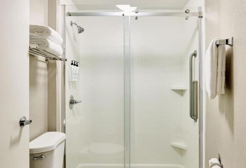 استودیو استاندارد با تخت کینگ, Springhill Suites Phoenix Tempe Airport