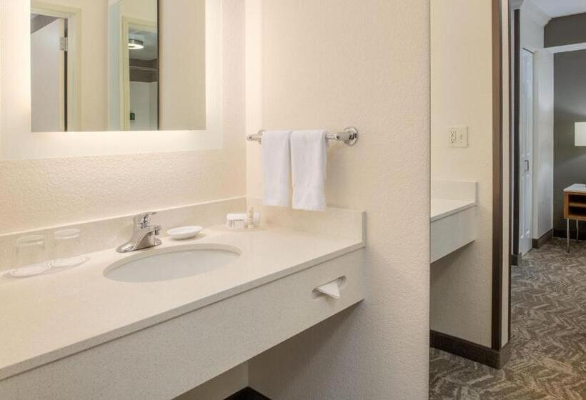 استودیو استاندارد با تخت کینگ, Springhill Suites Portland Airport