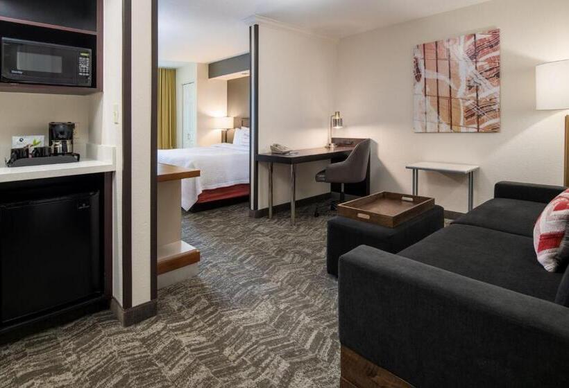 استودیو استاندارد با تخت کینگ, Springhill Suites Portland Airport