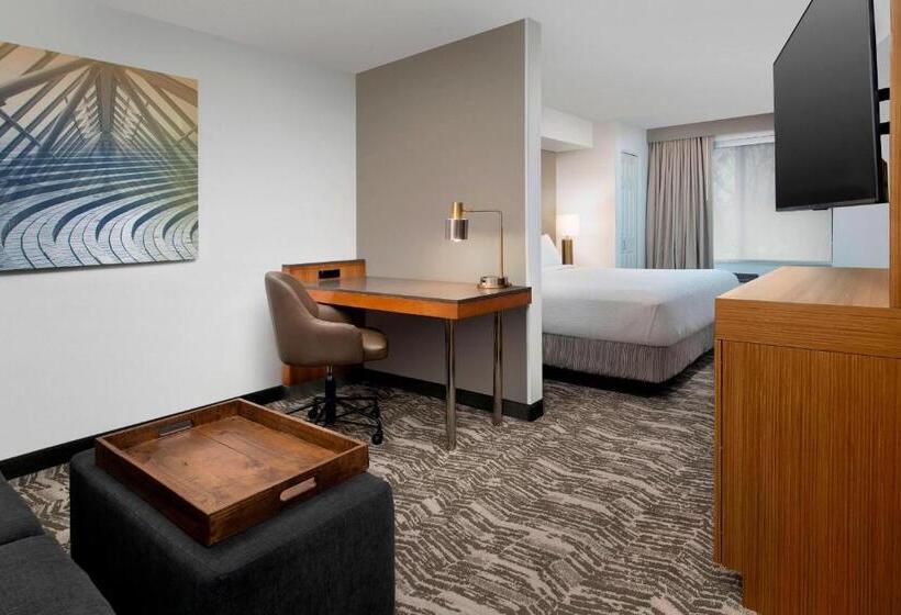 سوئیت با تخت بزرگ, Springhill Suites By Marriott Portland Hillsboro