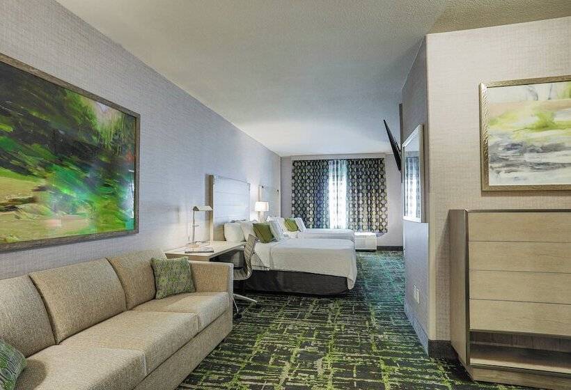 Standaard Studio, Springhill Suites Prescott