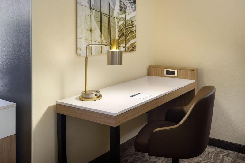 Studio Standard Lit King Size, Springhill Suites Raleighdurham Airport/research Triangle Park