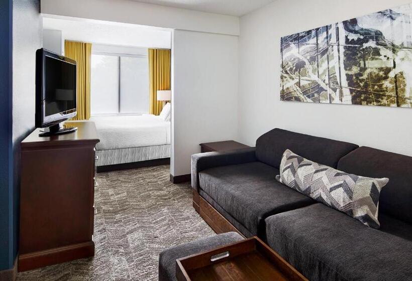 سوئیت با تخت بزرگ, Springhill Suites By Marriott Richmond North/glen Allen