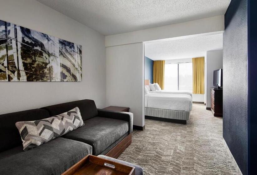 سوئیت برای معلولان, Springhill Suites By Marriott Richmond North/glen Allen