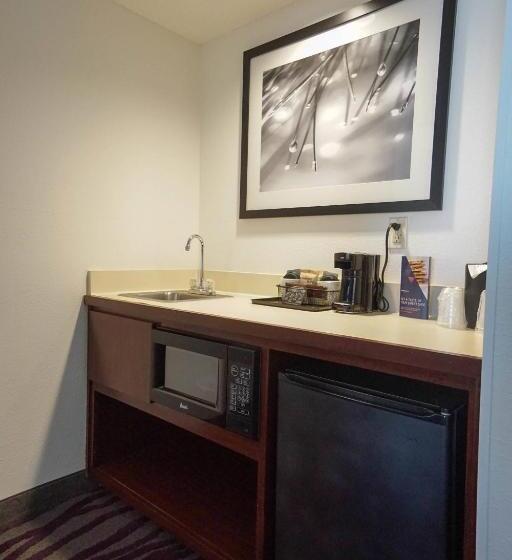 سوئیت با تخت بزرگ, Springhill Suites By Marriott Savannah Midtown