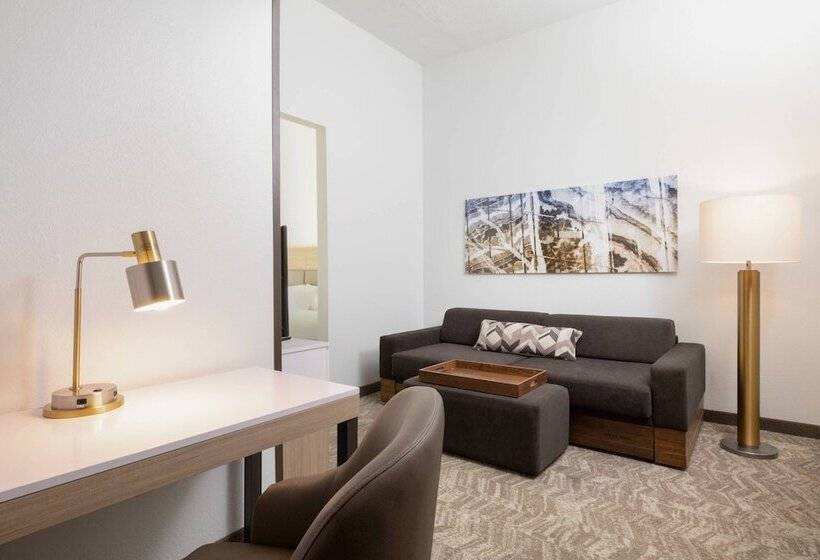سوییت, Springhill Suites By Marriott Williamsburg